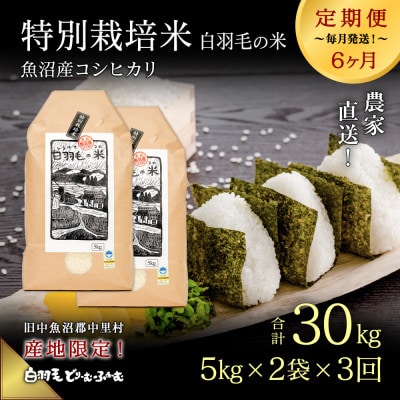 【毎月定期便】農家直送!魚沼産コシヒカリ特別栽培 精米(5kg×2袋)全3回