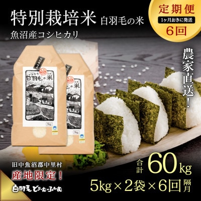 【2ヵ月毎定期便】農家直送!魚沼産コシヒカリ特別栽培 精米(5kg×2袋)全6回
