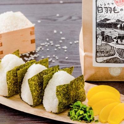 【毎月定期便】農家直送!魚沼産コシヒカリ特別栽培 精米(5kg×3袋)全12回