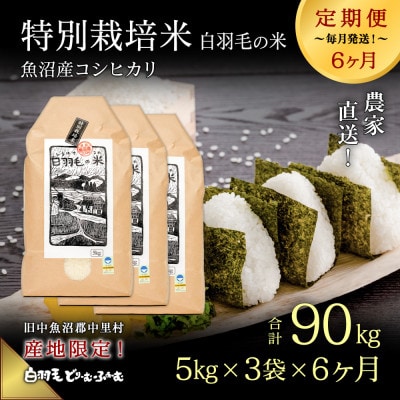 【毎月定期便】農家直送!魚沼産コシヒカリ特別栽培 精米(5kg×3袋)全6回