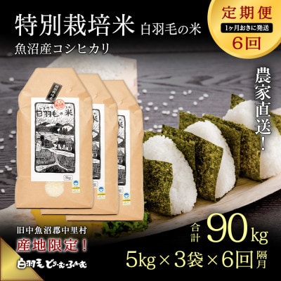 【2ヵ月毎定期便】農家直送!魚沼産コシヒカリ特別栽培 精米(5kg×3袋)全6回