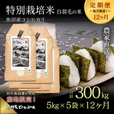 【毎月定期便】農家直送!魚沼産コシヒカリ特別栽培 精米(5kg×5袋)全12回