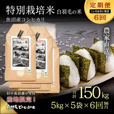 【2ヵ月毎定期便】農家直送!魚沼産コシヒカリ特別栽培 精米(5kg×5袋)全6回