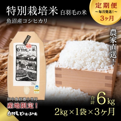 【毎月定期便】農家直送!魚沼産コシヒカリ特別栽培精米(2kg×1袋)全3回