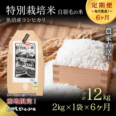 【毎月定期便】農家直送!魚沼産コシヒカリ特別栽培精米(2kg×1袋)全6回