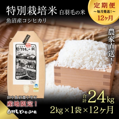 【毎月定期便】農家直送!魚沼産コシヒカリ特別栽培精米(2kg×1袋)全12回
