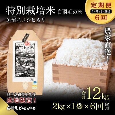 【2ヵ月毎定期便】農家直送!魚沼産コシヒカリ特別栽培精米(2kg×1袋)全6回