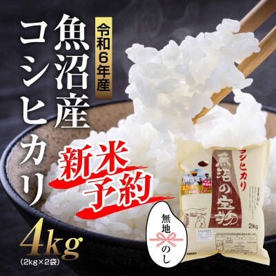 無地熨斗あり【令和6年産】 魚沼産 コシヒカリ 魚沼の宝物 精米4kg(2kg×2袋)