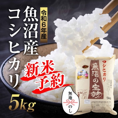 無地熨斗あり【令和6年産 】 魚沼産 コシヒカリ 魚沼の宝物 精米5kg