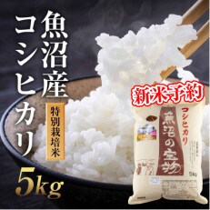 【新米 先行受付】令和5年産 魚沼産コシヒカリ 特別栽培米 魚沼の宝物 精米5kg(5kg×1袋)
