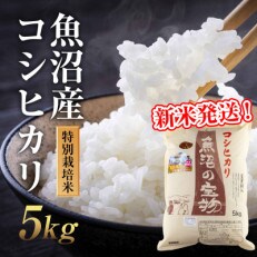 【令和5年産 新米発送】 魚沼産コシヒカリ 特別栽培米 魚沼の宝物 精米 5kg (5kg×1袋) | ふるさと納税のお礼品