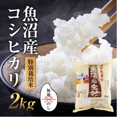 無地熨斗あり 新潟県 魚沼産 コシヒカリ 特別栽培米 魚沼の宝物 精米2kg(2kg×1袋)
