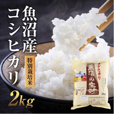 新潟県 魚沼産 コシヒカリ 特別栽培米 魚沼の宝物 精米2kg(2kg×1袋)