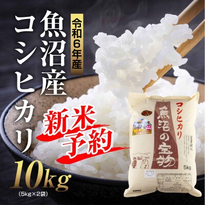 魚沼産 コシヒカリ 令和6年産 魚沼の宝物 精米 10kg (5kg×2袋)
