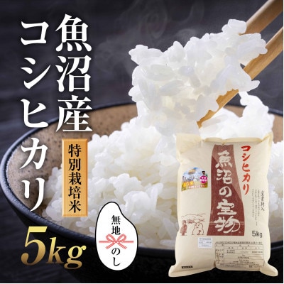 無地熨斗あり 新潟県 魚沼産 コシヒカリ 特別栽培米 魚沼の宝物 精米5kg(5kg×1袋)