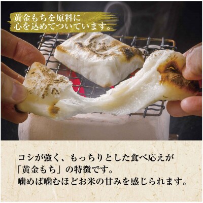 魚沼産 黄金もち米 100% 生切り餅 白 10枚入り×3袋 計30枚