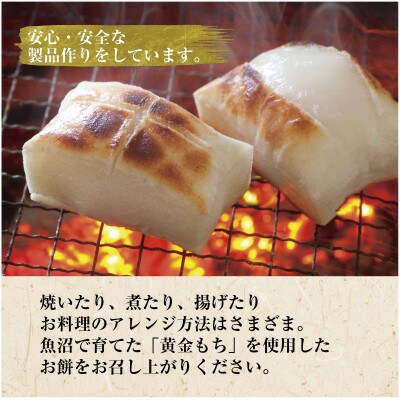 魚沼産 黄金もち米 100% 生切り餅(白・草・豆 各10枚入り)×3袋 計30枚 十日町市 嘉六