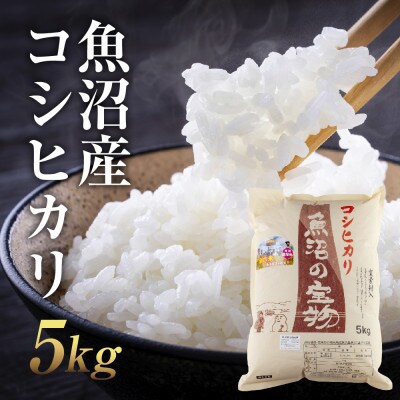 新潟県 魚沼産 コシヒカリ 魚沼の宝物 精米5kg(5kg×1袋)