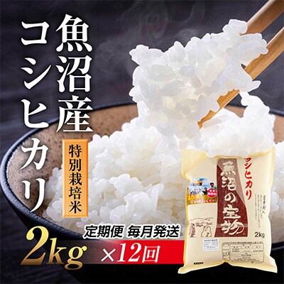 【毎月定期便】新潟県 魚沼産 コシヒカリ 特別栽培米 魚沼の宝物 精米 2kg全12回