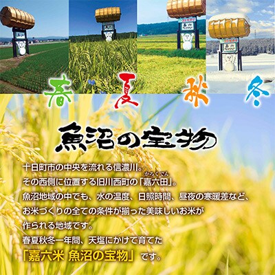 【毎月定期便】新潟県 魚沼産 コシヒカリ 特別栽培米 魚沼の宝物 精米 2kg全12回