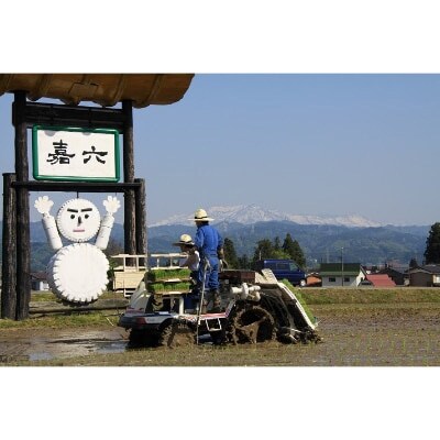 2023年2月発送開始『定期便』嘉六米魚沼産コシヒカリ10kg(5kg×2袋)全12回