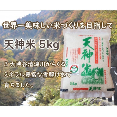 令和6年度　新潟魚沼産コシヒカリ 天神米 5kg×1袋