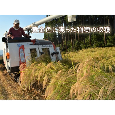 令和6年度　新潟魚沼産コシヒカリ 天神米 5kg×1袋