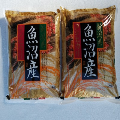 魚沼産コシヒカリ10kg(5kg×2袋)精米