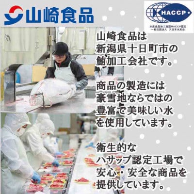 山崎食品の天然鮪のまぐろたたき  ネギトロ　1キログラム