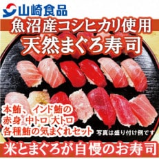 山崎食品の十日町魚沼産コシヒカリ使用　天然まぐろ寿司(天然本鮪、天然インド鮪、まぐろづくし寿司)　