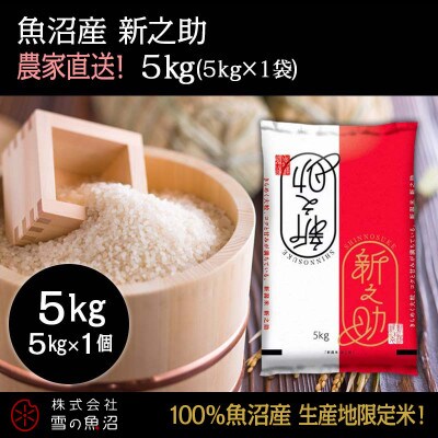 令和7年産!魚沼産 新之助【農家直送!】精米5kg×1袋