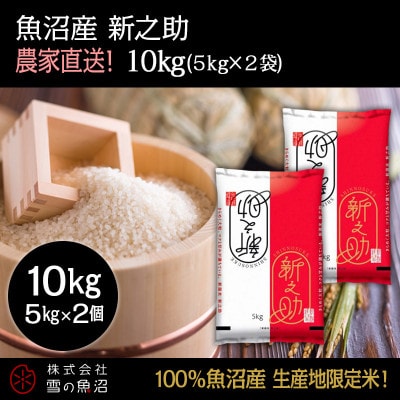 令和7年産!魚沼産 新之助【農家直送!】精米5kg×2袋