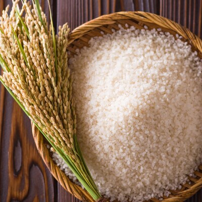 令和7年産!魚沼産こだわり従来コシヒカリ【農家直送!】精米10kg×1袋