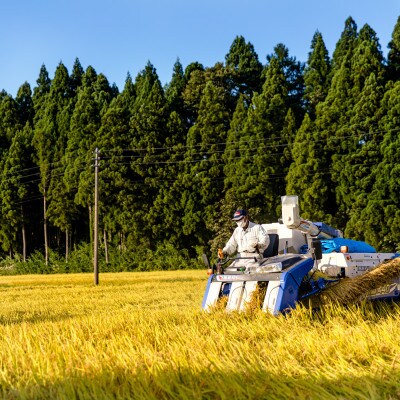 令和7年産!魚沼産こだわり従来コシヒカリ【農家直送!】精米5kg×1袋