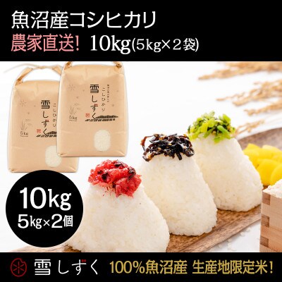 魚沼産コシヒカリ 雪しずく【農家直送!】 精米5kg×2袋