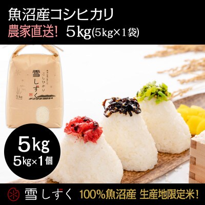 魚沼産コシヒカリ 雪しずく【農家直送!】 精米5kg×1袋