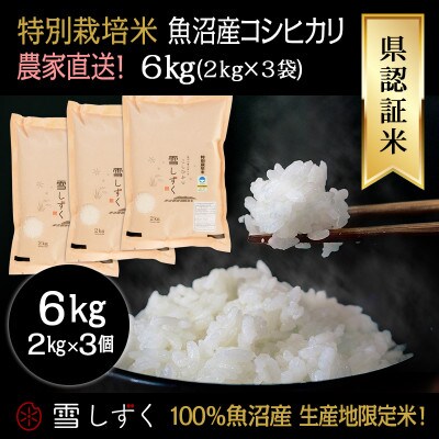 令和7年産!県認証特別栽培魚沼産コシヒカリ【農家直送!】 精米 6kg(2kg×3袋)
