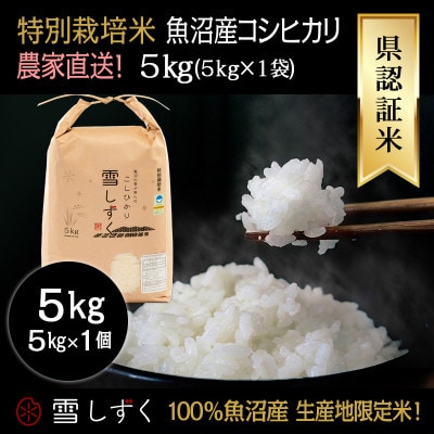令和7年産!県認証特別栽培魚沼産コシヒカリ【農家直送!】 精米 5kg(5kg×1袋)