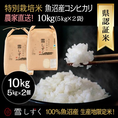 令和7年産!県認証特別栽培魚沼産コシヒカリ【農家直送!】 精米 10kg(5kg×2袋)