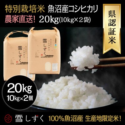 令和7年産!県認証特別栽培魚沼産コシヒカリ【農家直送!】 精米 20kg(10kg×2袋)