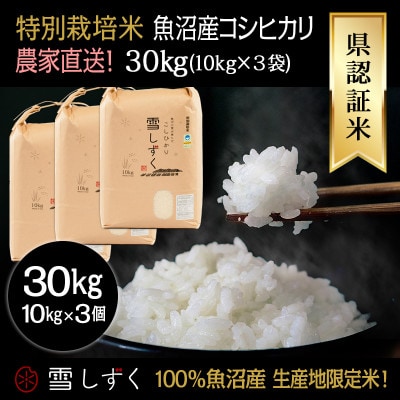 令和7年産!県認証特別栽培魚沼産コシヒカリ【農家直送!】 精米 30kg(10kg×3袋)