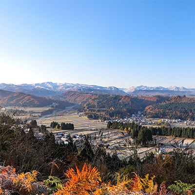 【毎月定期便】女子高生×雪の魚沼!県認証特栽魚沼コシ包装米飯10個+みそ各1×6全6回