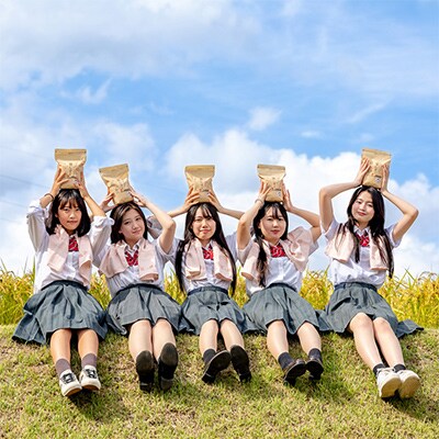 【毎月定期便】女子高生×雪の魚沼!県認証特栽魚沼コシ包装米飯10個+みそ各1×12全12回