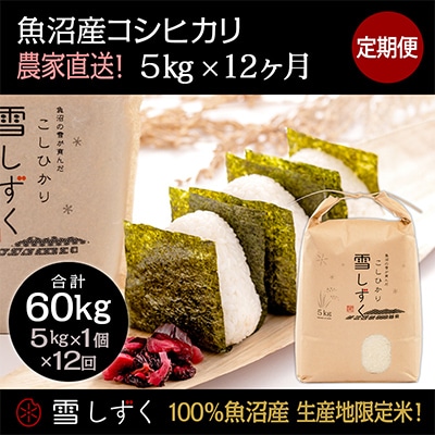 【毎月定期便】農家直送!魚沼産コシヒカリ【合計60kg】毎月5kg 全12回