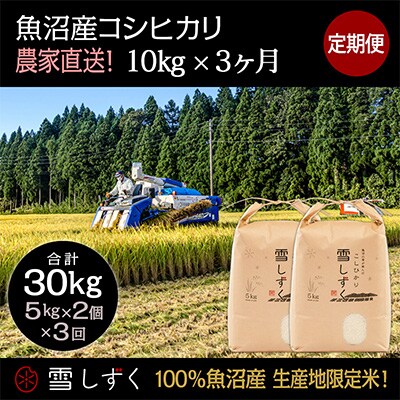 【毎月定期便】農家直送!魚沼産コシヒカリ【合計30kg】毎月10kg全3回