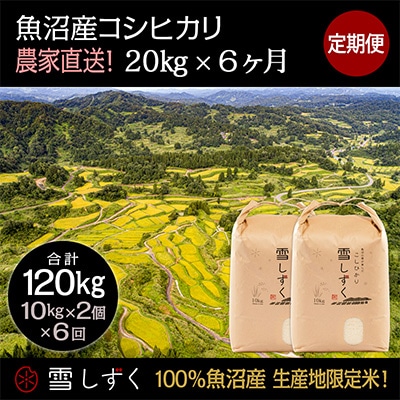 【毎月定期便】農家直送!魚沼産コシヒカリ【合計120kg】毎月20kg全6回