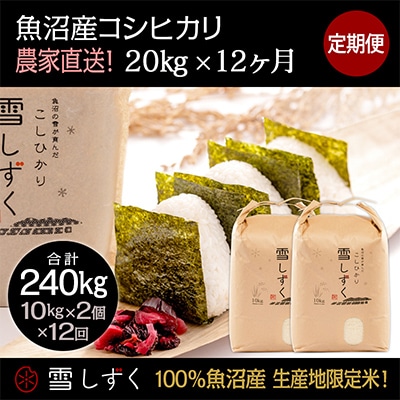 【毎月定期便】農家直送!魚沼産コシヒカリ【合計240kg】毎月20kg 全12回