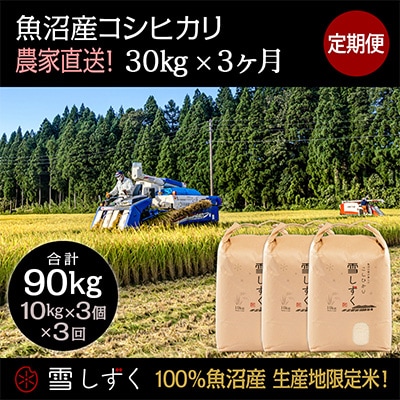 【毎月定期便】農家直送!魚沼産コシヒカリ【合計90kg】毎月30kg 全3回