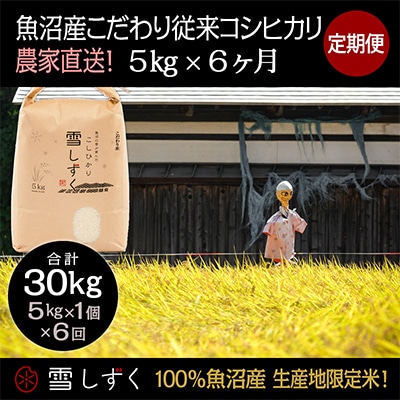 【毎月定期便】魚沼産こだわり従来コシヒカリ【合計30kg】毎月5kg 全6回