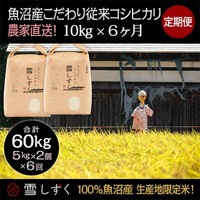 【毎月定期便】魚沼産こだわり従来コシヒカリ【合計60kg】毎月10kg全6回